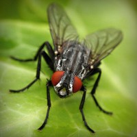 /album/riafulreola/photolia-a01-jpg/