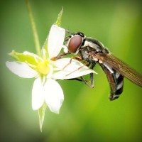 /album/riafulreola/photolia-a02-jpg/