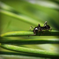 /album/riafulreola/photolia-a05-jpg/